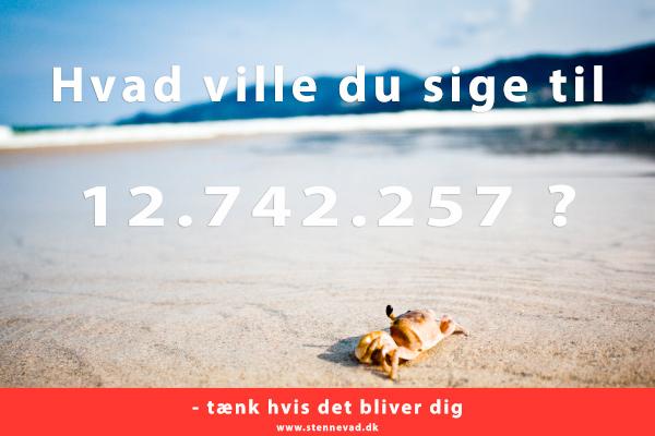 Hvad ville du sige til 12742257?