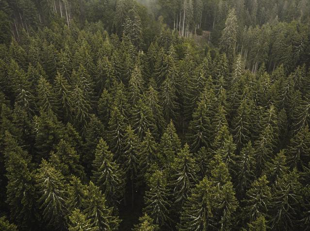 Environmental certification ISO 14001 - we must press on